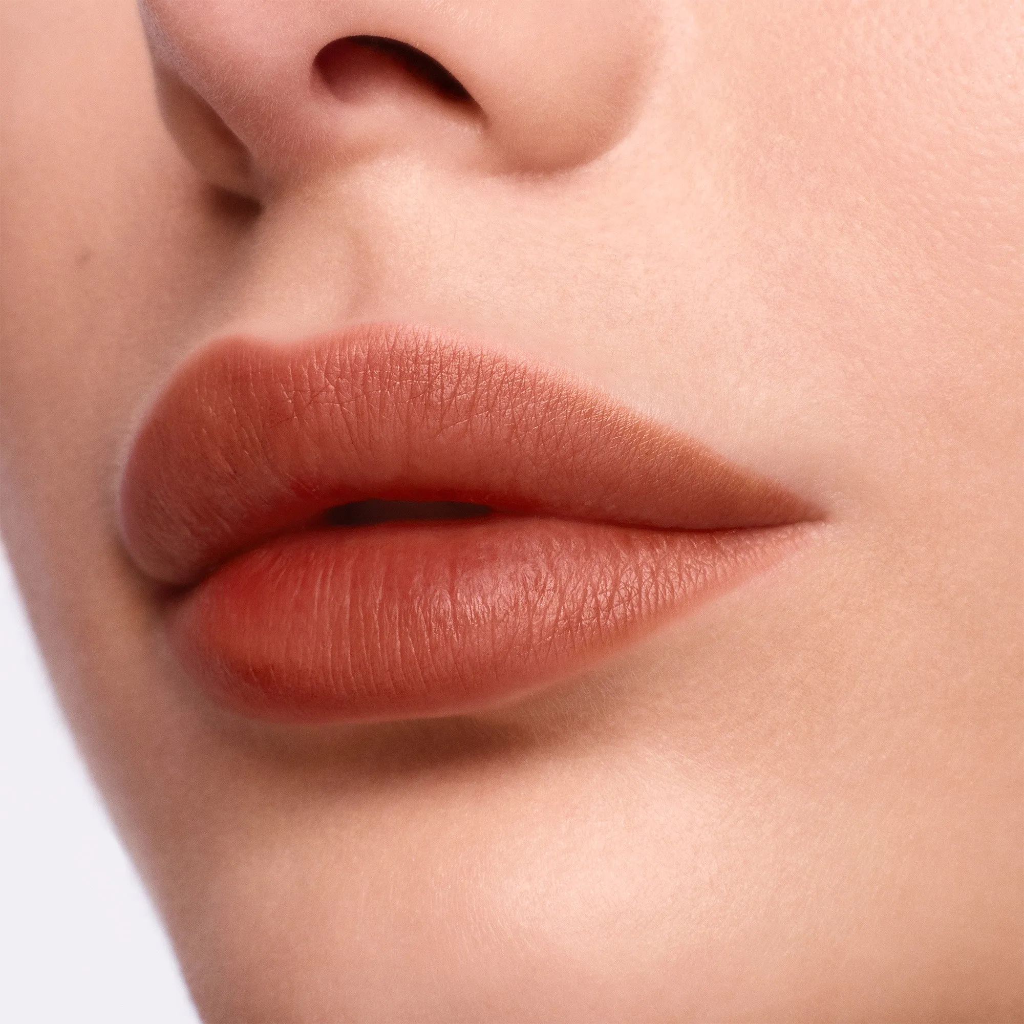 Calligraphy Lip Stain - The Nudes